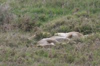 IMG 2381 &ndash; &copy; Philip Seidel (Eberhardt TRAVEL)