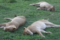 IMG 2400 &ndash; &copy; Philip Seidel (Eberhardt TRAVEL)