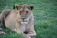 IMG 2410 &ndash; &copy; Philip Seidel (Eberhardt TRAVEL)