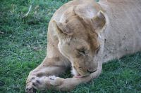 IMG 2421 &ndash; &copy; Philip Seidel (Eberhardt TRAVEL)