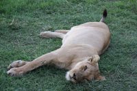 IMG 2424 &ndash; &copy; Philip Seidel (Eberhardt TRAVEL)