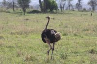 IMG 2458 &ndash; &copy; Philip Seidel (Eberhardt TRAVEL)