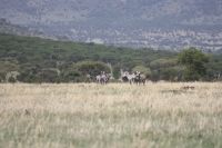 IMG 2477 &ndash; &copy; Philip Seidel (Eberhardt TRAVEL)