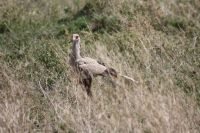 IMG 2479 &ndash; &copy; Philip Seidel (Eberhardt TRAVEL)