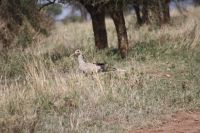 IMG 2485 &ndash; &copy; Philip Seidel (Eberhardt TRAVEL)