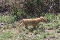 IMG 2515 &ndash; &copy; Philip Seidel (Eberhardt TRAVEL)