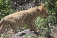 IMG 2520 &ndash; &copy; Philip Seidel (Eberhardt TRAVEL)
