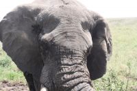 IMG 2578 &ndash; &copy; Philip Seidel (Eberhardt TRAVEL)