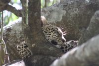 IMG 2597 &ndash; &copy; Philip Seidel (Eberhardt TRAVEL)