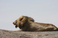 IMG 2619 &ndash; &copy; Philip Seidel (Eberhardt TRAVEL)
