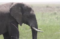 IMG 2646 &ndash; &copy; Philip Seidel (Eberhardt TRAVEL)