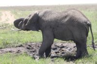 IMG 2653 &ndash; &copy; Philip Seidel (Eberhardt TRAVEL)