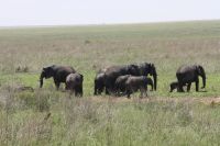 IMG 2673 &ndash; &copy; Philip Seidel (Eberhardt TRAVEL)