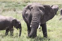 IMG 2681 &ndash; &copy; Philip Seidel (Eberhardt TRAVEL)