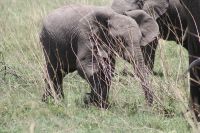 IMG 2689 &ndash; &copy; Philip Seidel (Eberhardt TRAVEL)