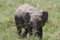 IMG 2690 &ndash; &copy; Philip Seidel (Eberhardt TRAVEL)