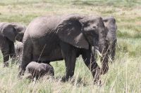 IMG 2699 &ndash; &copy; Philip Seidel (Eberhardt TRAVEL)