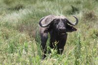 IMG 2721 &ndash; &copy; Philip Seidel (Eberhardt TRAVEL)
