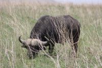 IMG 2723 &ndash; &copy; Philip Seidel (Eberhardt TRAVEL)