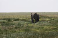 IMG 2730 &ndash; &copy; Philip Seidel (Eberhardt TRAVEL)