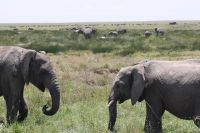 IMG 2731 &ndash; &copy; Philip Seidel (Eberhardt TRAVEL)