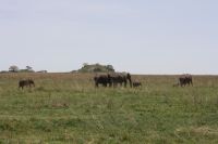 IMG 2732 &ndash; &copy; Philip Seidel (Eberhardt TRAVEL)