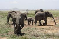 IMG 2734 &ndash; &copy; Philip Seidel (Eberhardt TRAVEL)