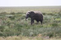 IMG 2735 &ndash; &copy; Philip Seidel (Eberhardt TRAVEL)