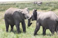 IMG 2739 &ndash; &copy; Philip Seidel (Eberhardt TRAVEL)