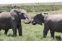 IMG 2741 &ndash; &copy; Philip Seidel (Eberhardt TRAVEL)