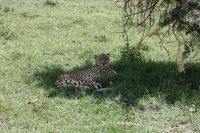 IMG 2754 &ndash; &copy; Philip Seidel (Eberhardt TRAVEL)