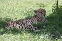 IMG 2763 &ndash; &copy; Philip Seidel (Eberhardt TRAVEL)