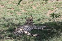IMG 2772 &ndash; &copy; Philip Seidel (Eberhardt TRAVEL)