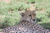 IMG 2776 &ndash; &copy; Philip Seidel (Eberhardt TRAVEL)