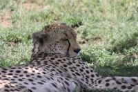 IMG 2778 &ndash; &copy; Philip Seidel (Eberhardt TRAVEL)