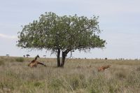 IMG 2789 &ndash; &copy; Philip Seidel (Eberhardt TRAVEL)