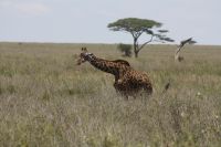 IMG 2792 &ndash; &copy; Philip Seidel (Eberhardt TRAVEL)