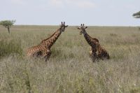 IMG 2793 &ndash; &copy; Philip Seidel (Eberhardt TRAVEL)