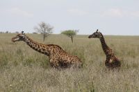 IMG 2800 &ndash; &copy; Philip Seidel (Eberhardt TRAVEL)