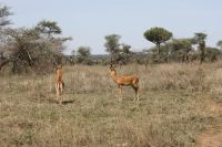 IMG 2804 &ndash; &copy; Philip Seidel (Eberhardt TRAVEL)