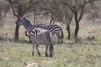 IMG 2810 &ndash; &copy; Philip Seidel (Eberhardt TRAVEL)