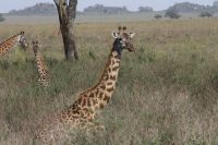 IMG 2830 &ndash; &copy; Philip Seidel (Eberhardt TRAVEL)