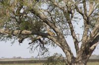 IMG 2845 &ndash; &copy; Philip Seidel (Eberhardt TRAVEL)
