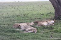 IMG 2851 &ndash; &copy; Philip Seidel (Eberhardt TRAVEL)