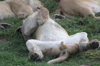 IMG 2854 &ndash; &copy; Philip Seidel (Eberhardt TRAVEL)