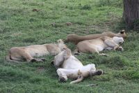 IMG 2855 &ndash; &copy; Philip Seidel (Eberhardt TRAVEL)
