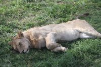 IMG 2865 &ndash; &copy; Philip Seidel (Eberhardt TRAVEL)