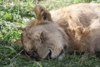 IMG 2869 &ndash; &copy; Philip Seidel (Eberhardt TRAVEL)