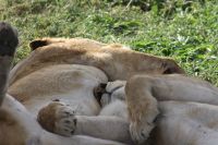 IMG 2870 &ndash; &copy; Philip Seidel (Eberhardt TRAVEL)