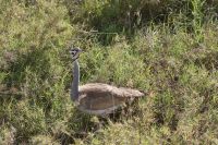 IMG 2874 &ndash; &copy; Philip Seidel (Eberhardt TRAVEL)